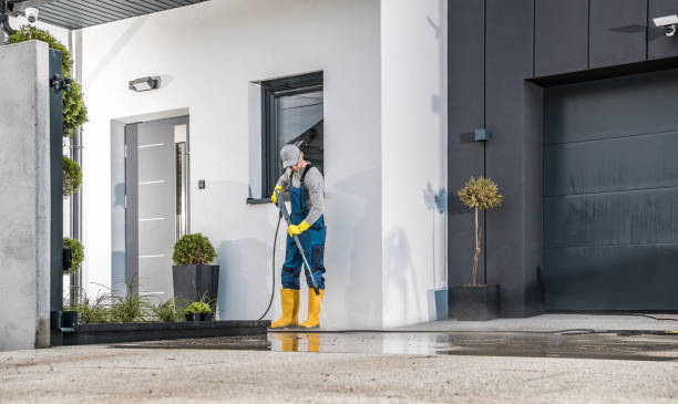 Best Soft Washing  in Palo Alto, CA